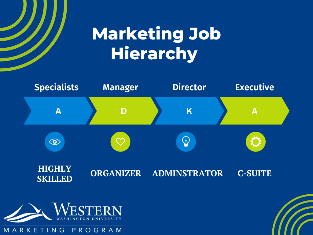 Hierarchy of Marketing Job Titles