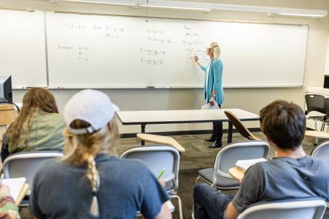 Students watching as a professor writes population dynamics equations on a whiteboard
